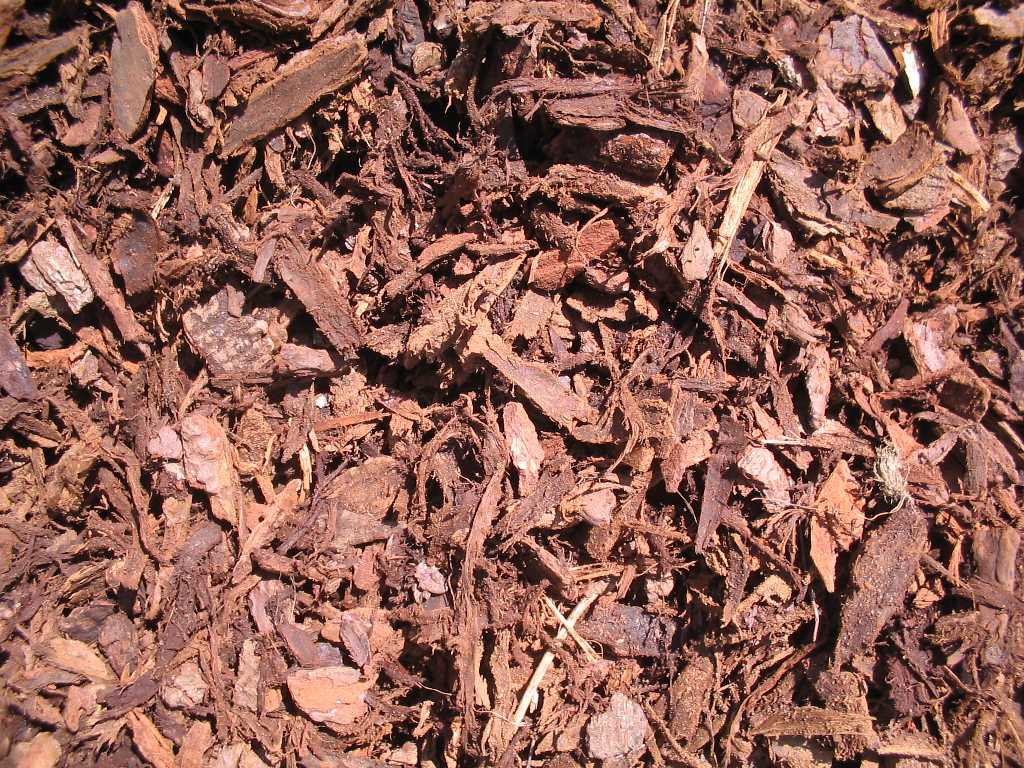 Mulch forestal 10-60 mm