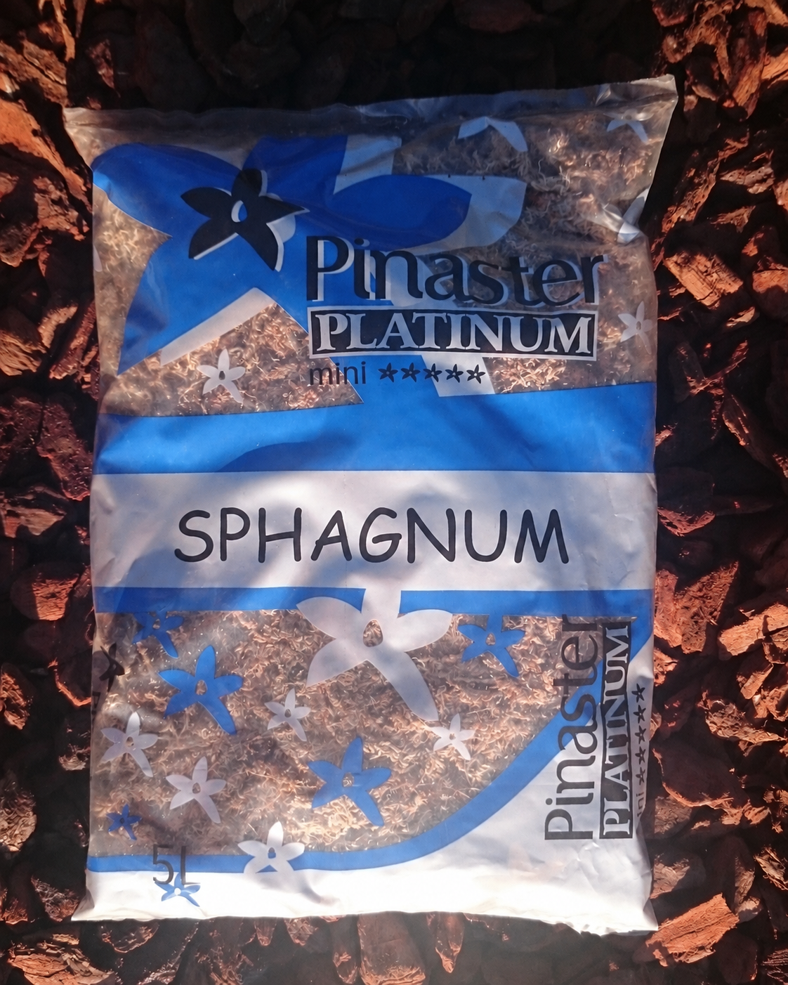 Platinum Sphagnum