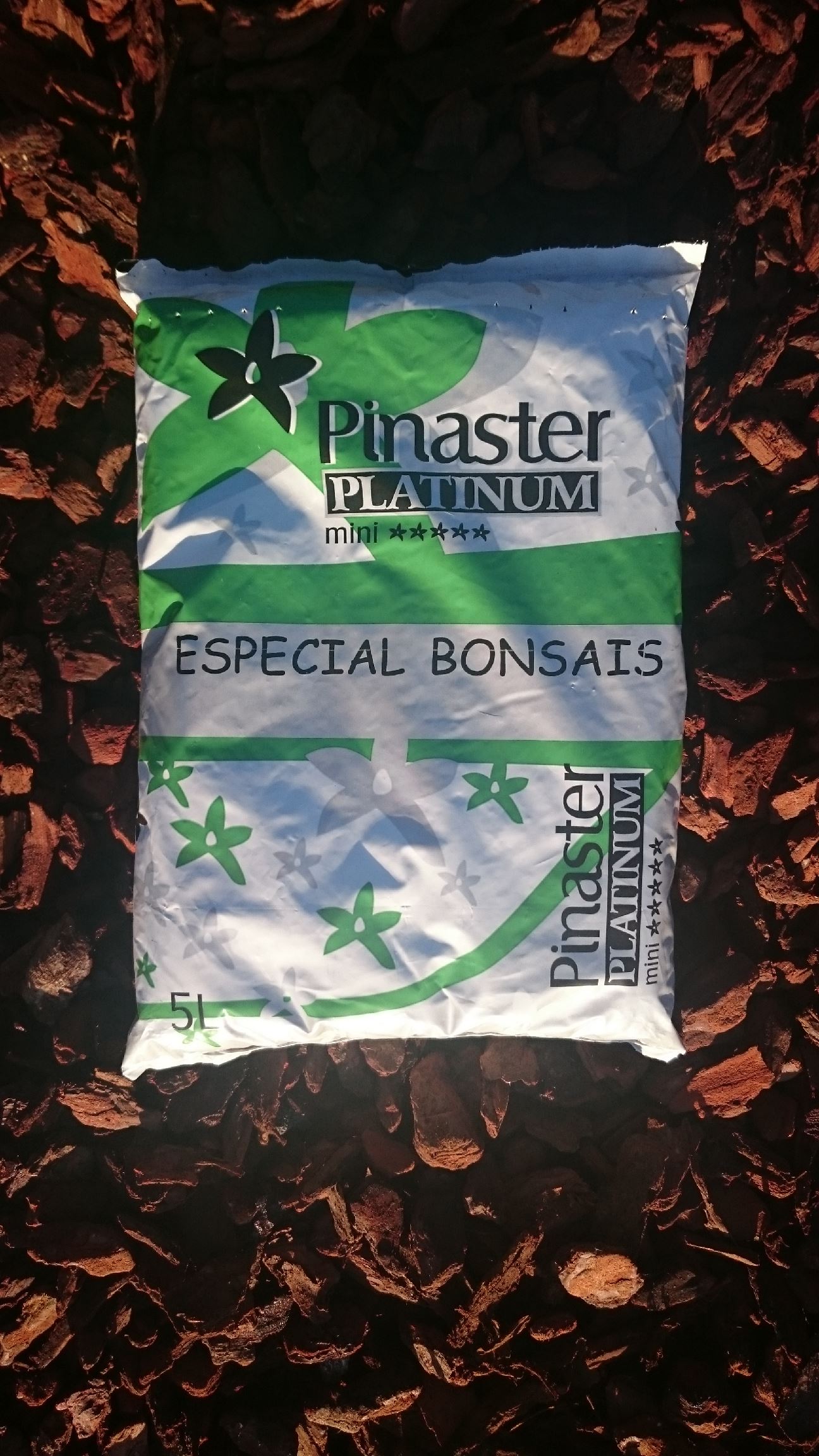 Platinum Bonsáis