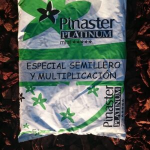 Platinum Semillero