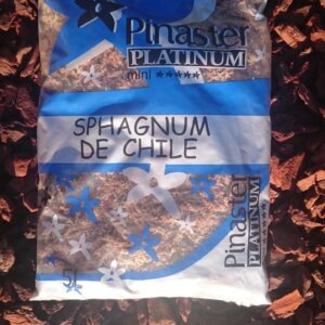 Platinum Sphagnum de Chile.