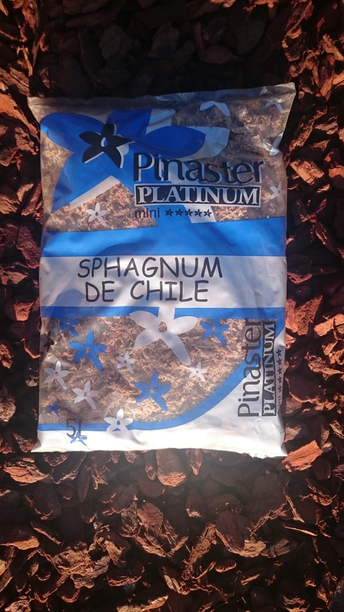 Platinum Sphagnum de Chile.