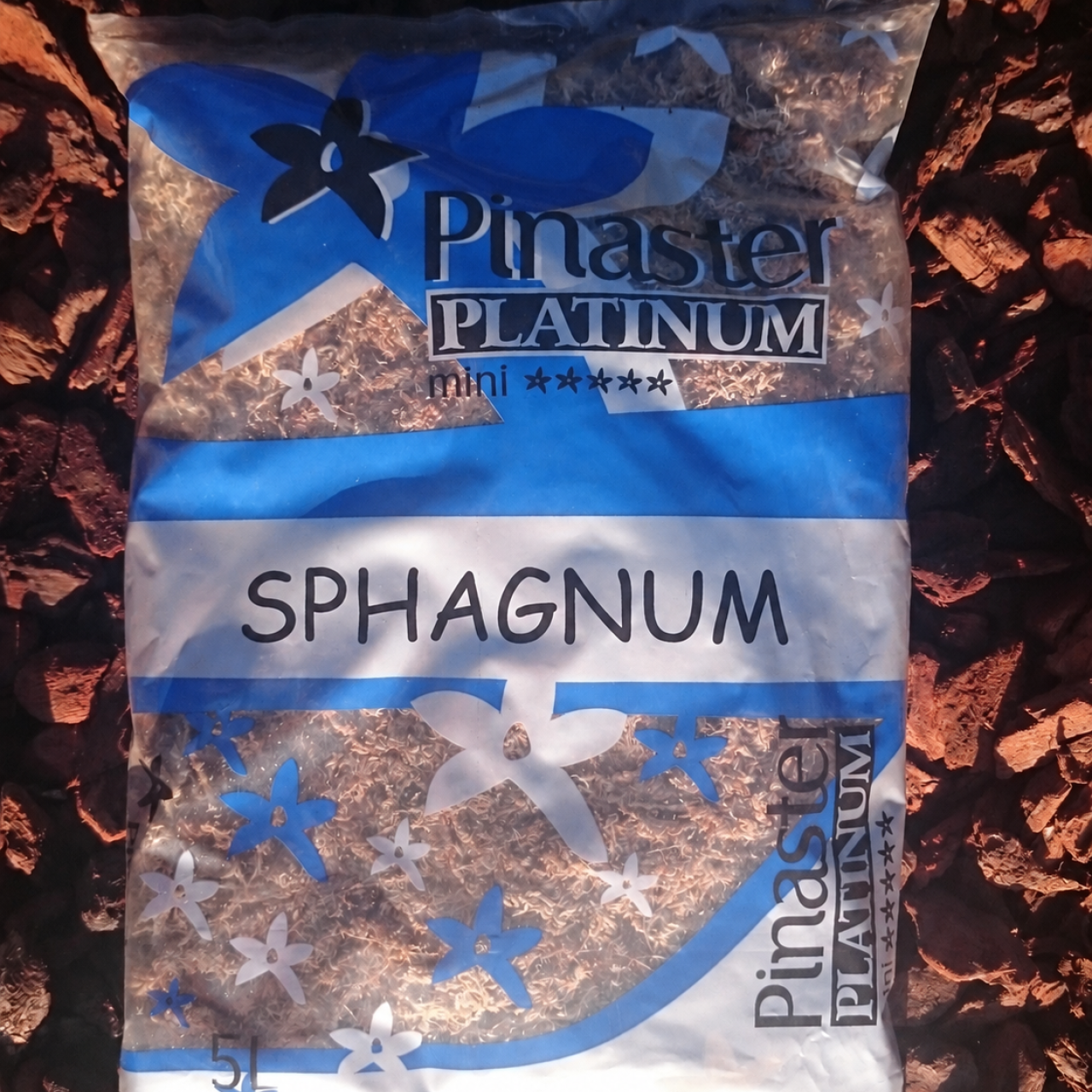 Platinum Sphagnum