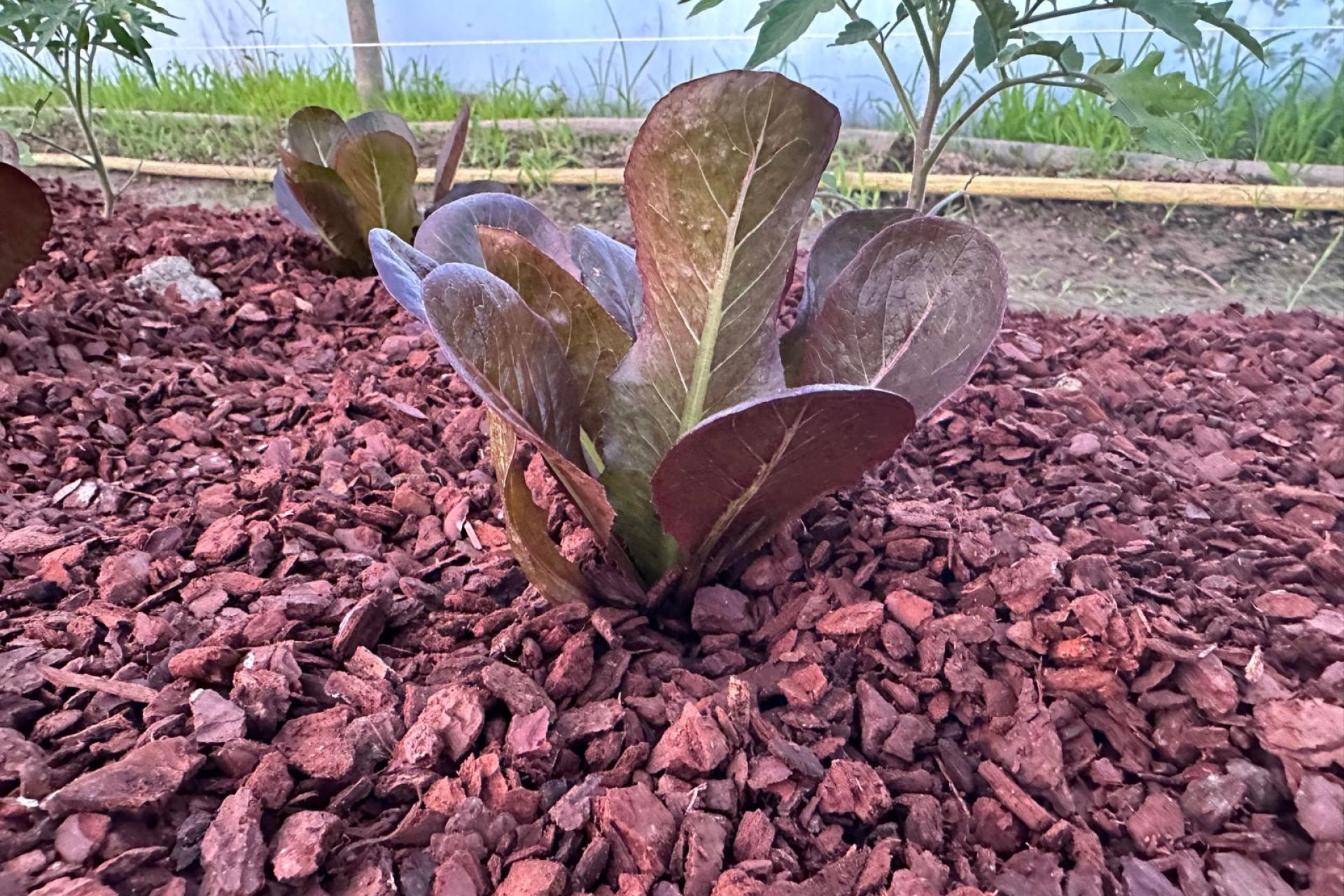 NUEVA COLABORACIÓN CON UN PROYECTO DE I+D+i. Fundación MATRIX