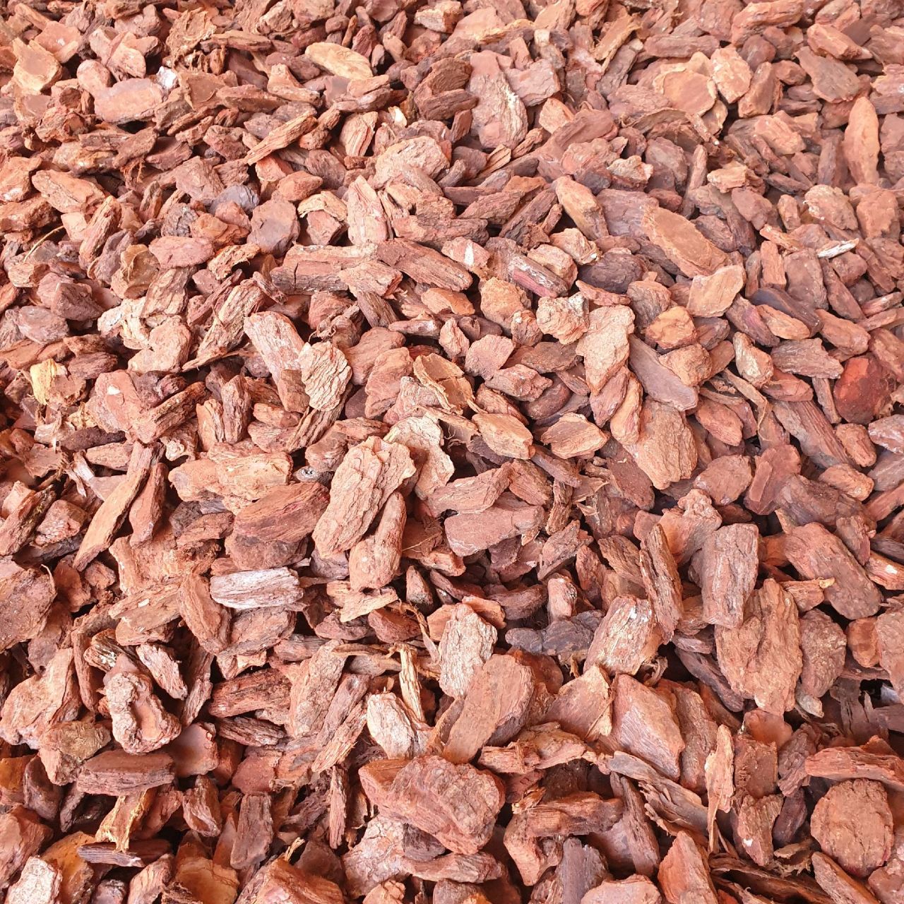 Corteza Premium 60-100 mm