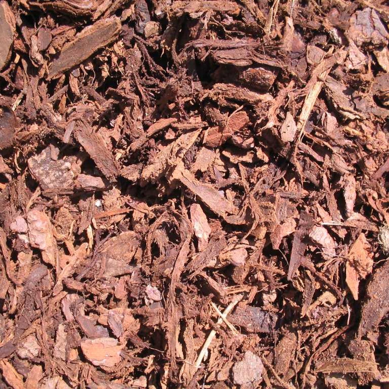 Mulch forestal 10-60 mm