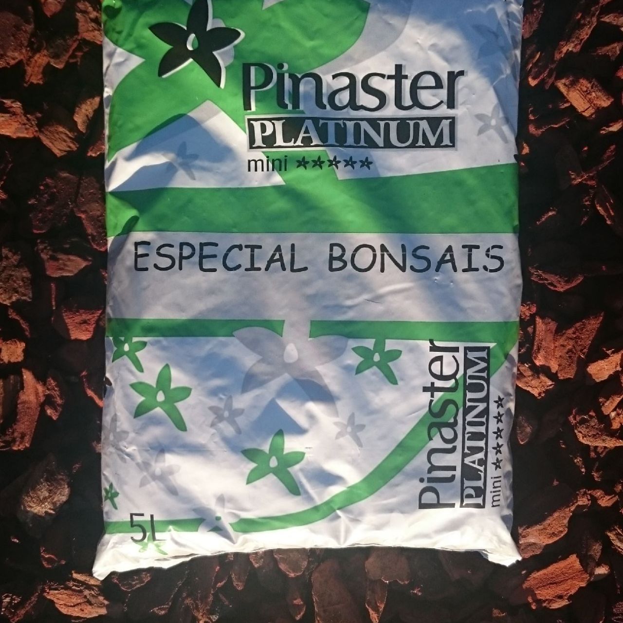 Platinum Bonsáis