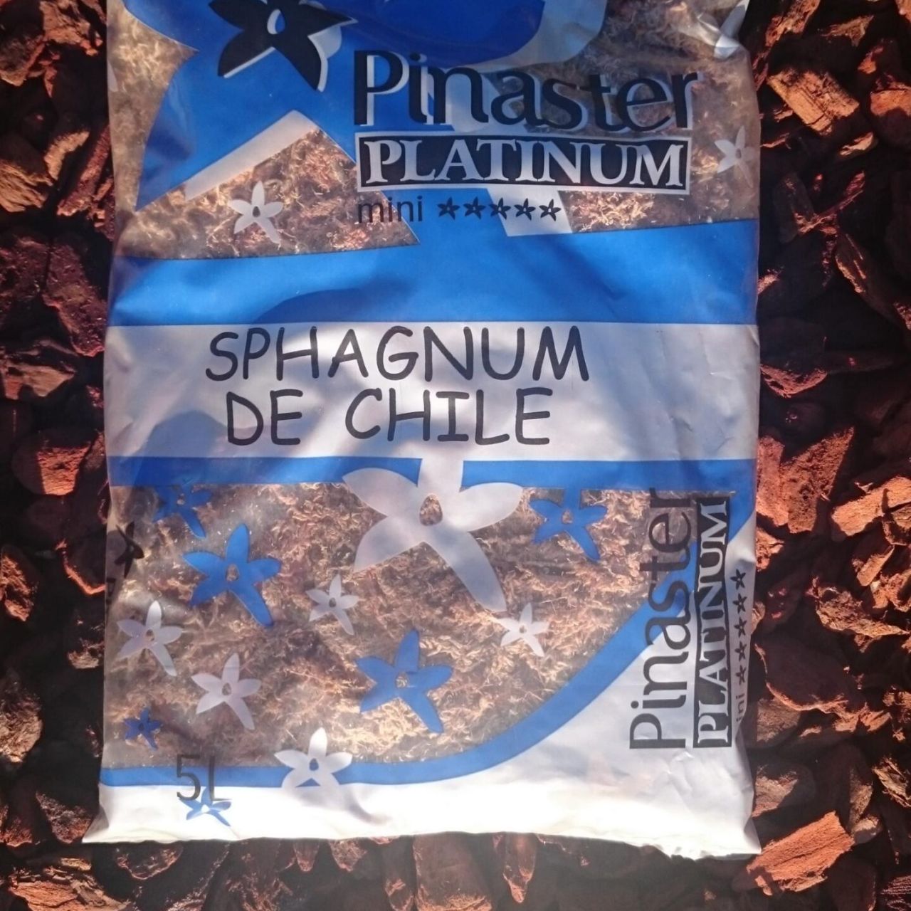 Platinum Sphagnum de Chile.