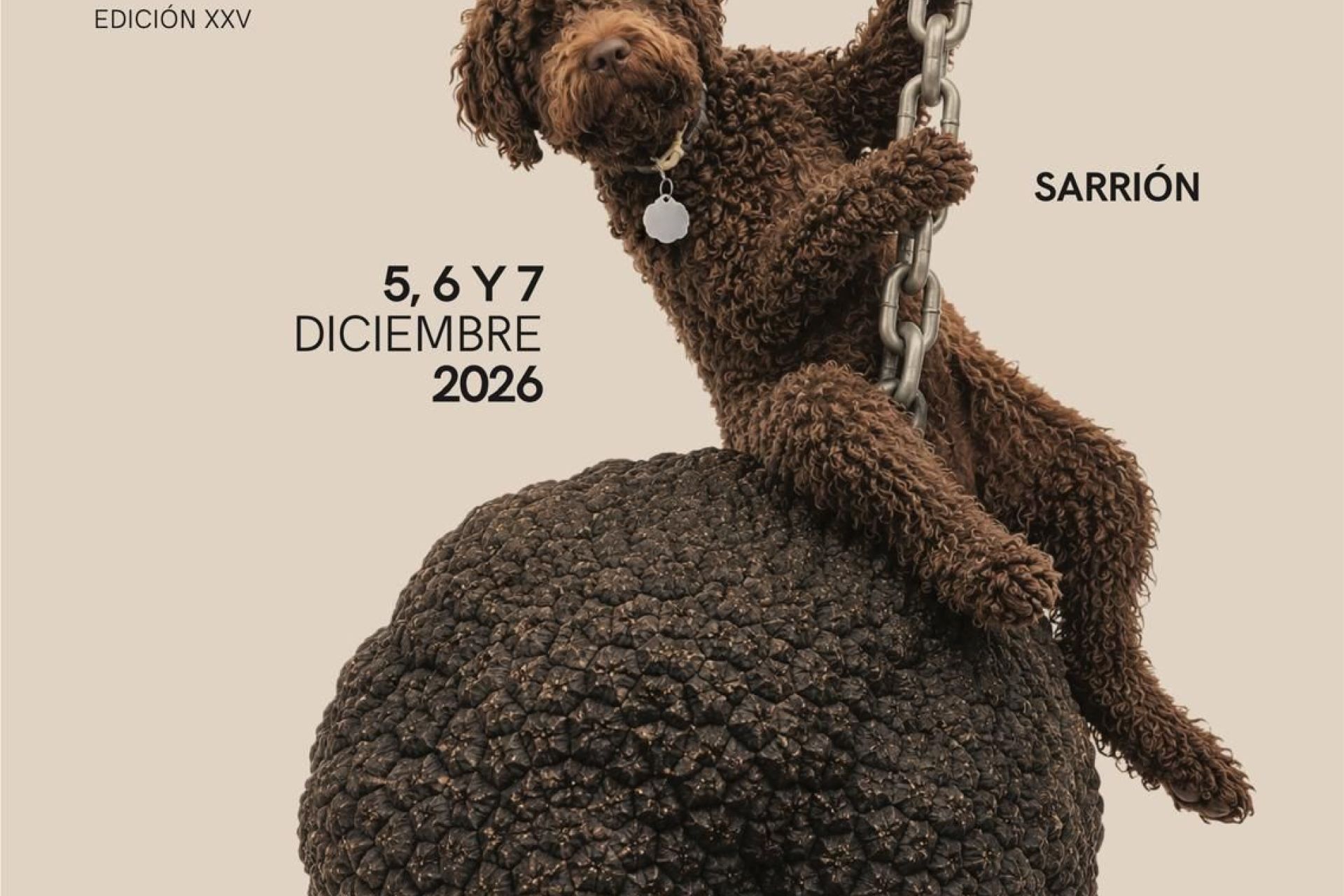 XXV Fitruf Sarrión. Feria Internacional de la Trufa Negra