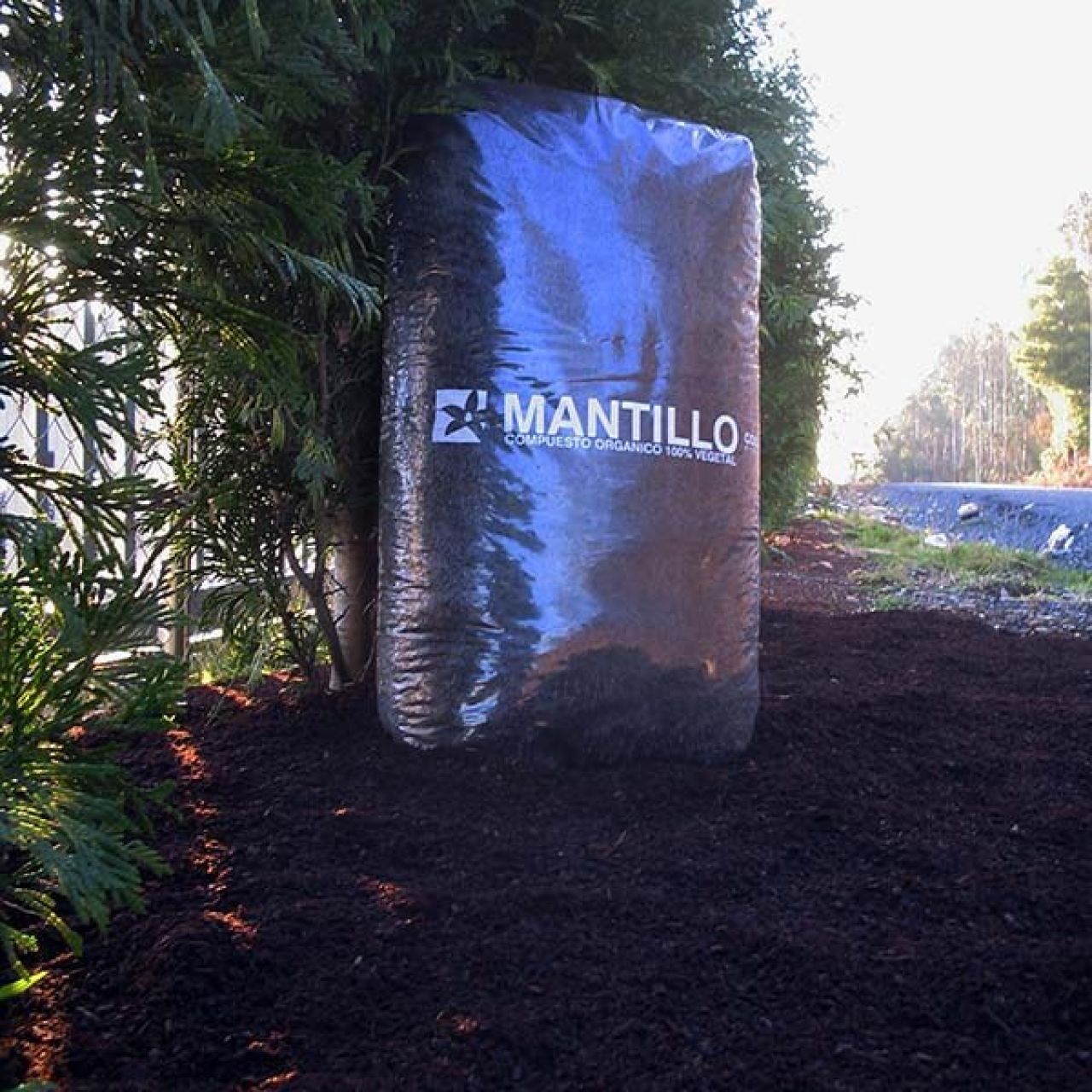 Mantillo premium