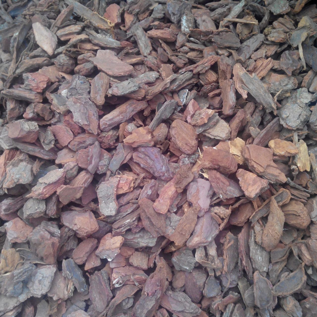 Corteza Premium 40-60 mm